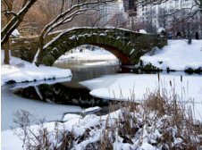 LOS ÁNGELES, LAS VEGAS CON PARQUES NACIONALES ROT