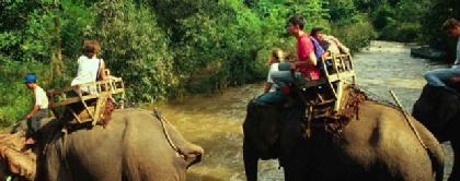 label[Travel_to_938] Tailandia Viajes y Circuitos por Tailandia Ofertas de viajes a  Tailandia