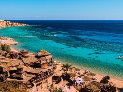 PARAISOS DEL MAR ROJO 