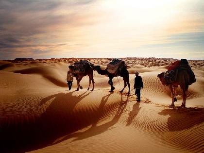 label[Travel_to_938] Tunez Viajes y Circuitos por Tunez Ofertas de viajes a  Tunez