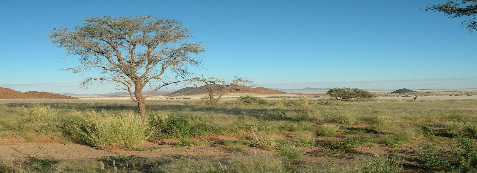 Ofertas de Traslados en Namibia. Traslados económicos en Namibia 