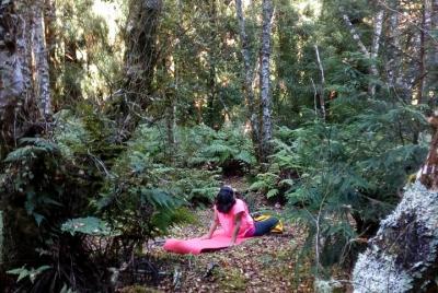  Paseos en terapia natural