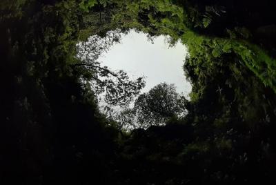 Tour en furgoneta subterránea (medio día)