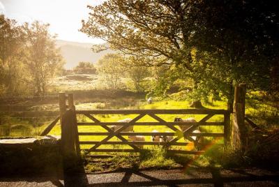 Excursión de 5 días desde Edimburgo: York, Yorkshire Dales, Distrito de los lagos y Muralla de Adriano