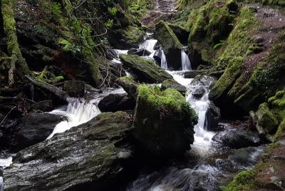 Mágica, encantadora caminata por el bosque, Loch Lomond y Dumbarton Castle Experience