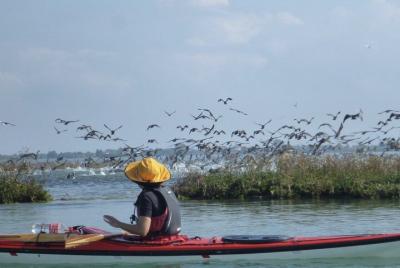 Tour de 3 horas en kayak por la laguna natural en Venecia