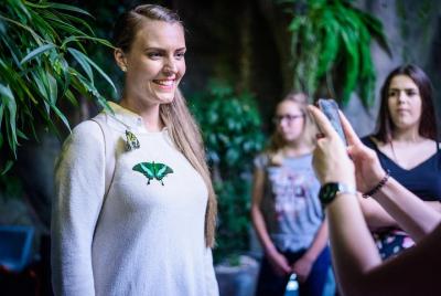 Sin colas: Praga - Papilonia - Entrada a la Casa de las Mariposas