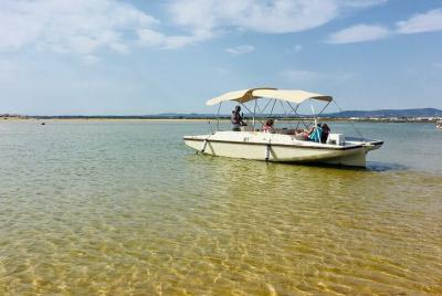 Paseo de Barco en Faro – Observación de Aves en Ria Formosa