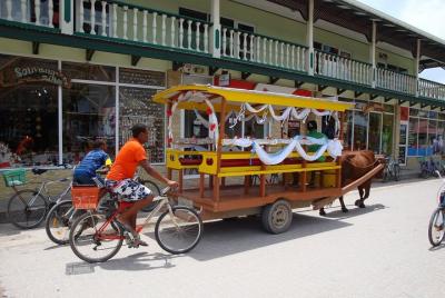 Tour de descubrimiento de día entero de la isla de La Digue desde la isla de Praslin