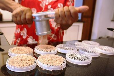 Una clase de cocina tradicional, vegetariana de Sri Lanka en el c