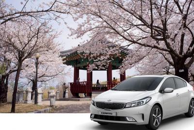 Descubriendo Corea - Tour autoguiado de 10 días