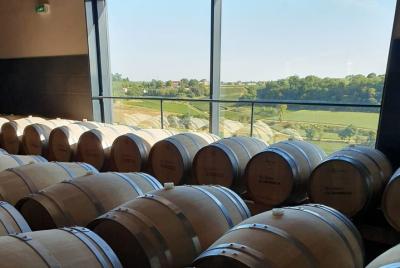 Mañana en Saint-Emilion con visita al castillo y cata de vinos.