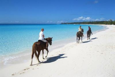  Paseo a caballo por la playa desde Punta Cana