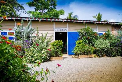 Recorrido a pie en Macao de 4 horas por la plantación Local Green Market desde Punta Cana