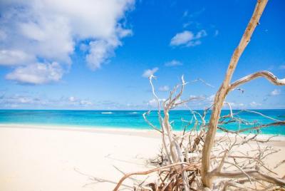 Excursión de esnórquel de día completo a las islas Orange y Giftu