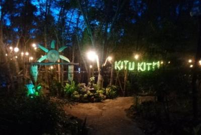 gira de observación de luciérnagas