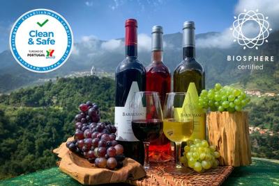 Skywalk y recorrido por los viñedos con cata de vinos profesional