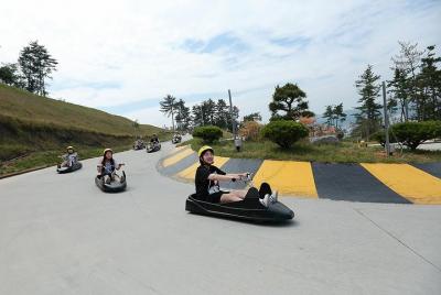 Excursión de 1 día con Luge Racing Car, granja de alpacas y recol Excursión de 1 día con Luge Racing Car, granja de alpacas y recol