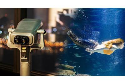 Evita las colas: Observatorio de construcción 63 + Boleto combinado Aqua Planet 63