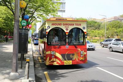 Recorrido con paradas libres por Gangnam, Seúl