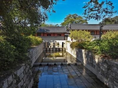 Tour simbólico por la tarde en Seúl, incluido el palacio Changdeo Tour simbólico por la tarde en Seúl, incluido el palacio Changdeo