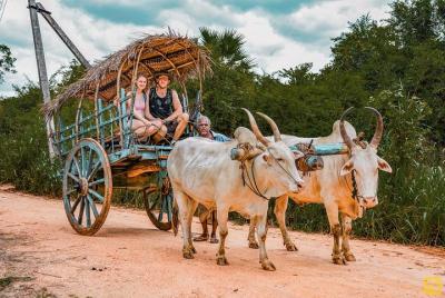 Visita al pueblo cultural de Sigiriya y Safari de Minneriya