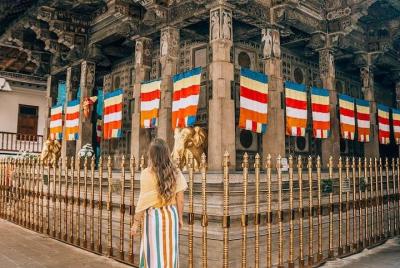 Excursión de un día a Kandy Sightseeing desde Bentota (todo incluido)