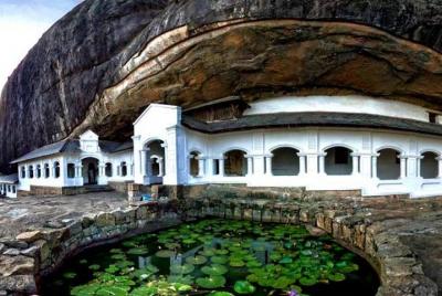 Traslado privado de salida: hotel de Dambulla al aeropuerto