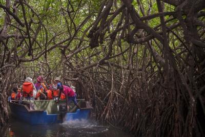Bentota ~ Tour privado especial de un día; Solo; Pareja; Grupo
