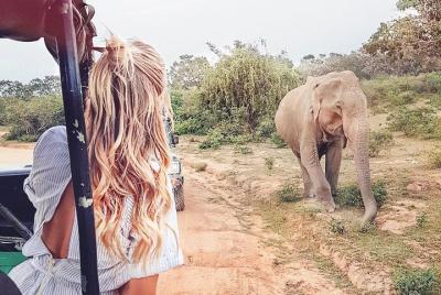Wild Safari Udawalawe de Bentota