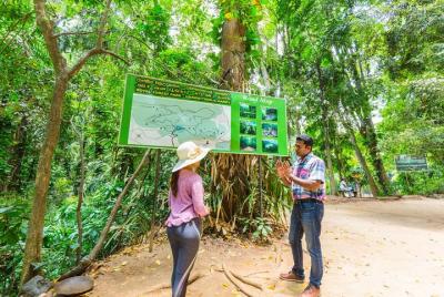 Visita al bosque de Udawatta Kele, Kandy desde Bentota