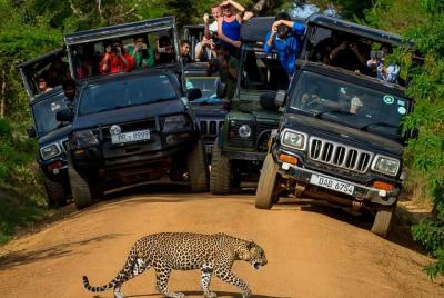 Safari privado de 02 días en Yala desde Bentota