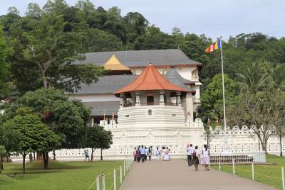 Tour privado de Kandy todo incluido desde Bentota y Beruwela
