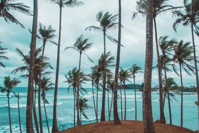 Transporte a Mirissa