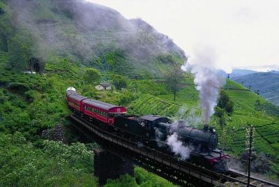 Wayanga tours-conductor privado Sri Lanka