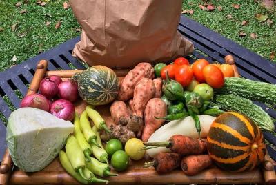 Sé un cultivador de Sri Lanka durante 02 días en una aldea