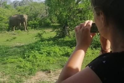 Paradise Yala Safari Tours Paradise Yala Safari Tours