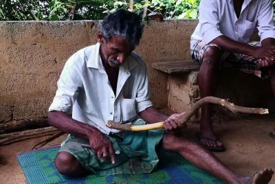 Bentota City Tour desde Mirissa