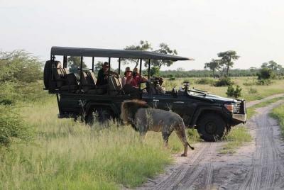 Excursión de 2 días al Safari en el parque Chobe con alojamiento en las cataratas Victoria