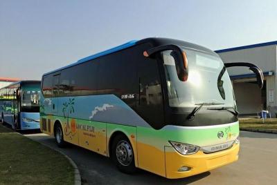 Traslado compartido (SIV) del aeropuerto de Nadi a los hoteles de Nadi / Denarau Hotels