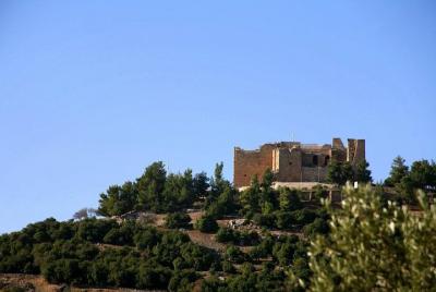 Excursión de un día al castillo de Jerash y Ajloun