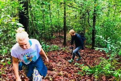 "Experiencia en la selva tropical en sinharaja" muchos tipos de tours en sinharaja
