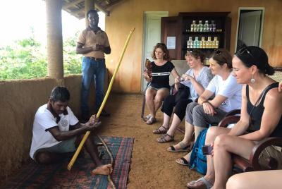 Experiencia de canela familiar