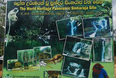 Galle Sinharaja Rain Forest en moto  Galle Sinharaja Rain Forest en moto