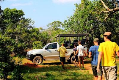 Tour privado: Safari al Parque Nacional Yala Tour privado: Safari al Parque Nacional Yala