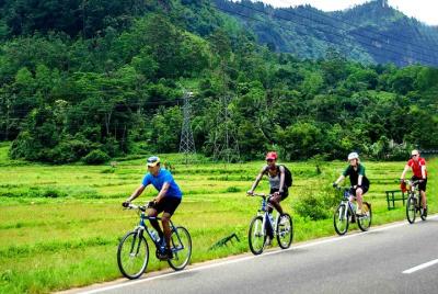 Sendero natural para ciclistas: arrozales, bosques de canela y pueblos - Galle