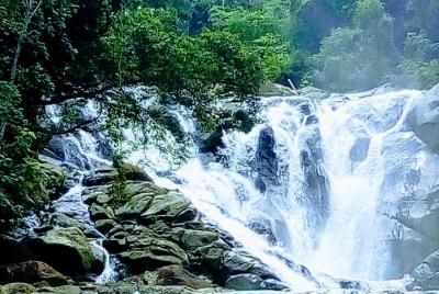 Tour a la cascada de Ethamala Ella Tour a la cascada de Ethamala Ella