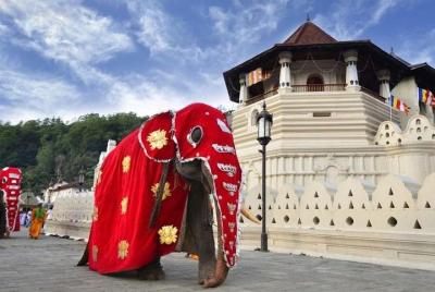 Excursión privada de un día a Kandy desde Galle y Hikkaduwa. Excursión privada de un día a Kandy desde Galle y Hikkaduwa.