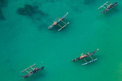 Avistamiento de ballenas apto para animales en grupos pequeños por aire en Habaraduwa