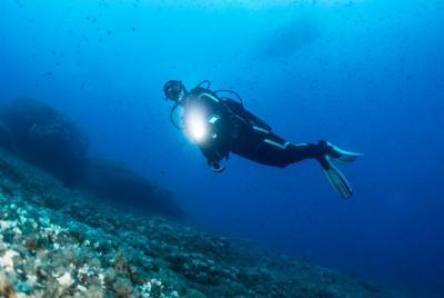 Buceo en la noche en Mirissa